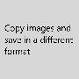 pasteasfile_-_copy_image_and_save_in_different_format.gif